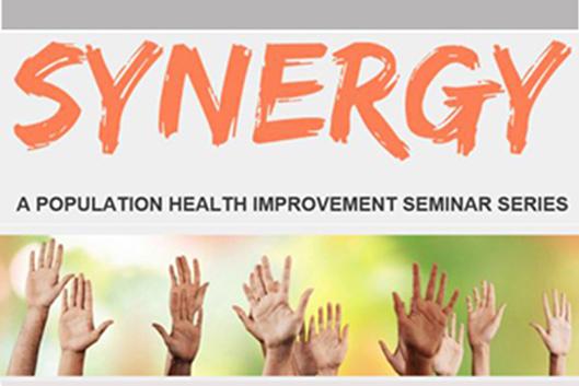 Synergy Seminar Series